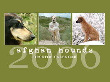 2006 Pet Photography Calendar - Afghan Hounds