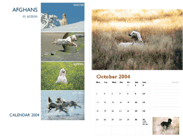 Pet photography calendars and diaries by canine photographer MaSha